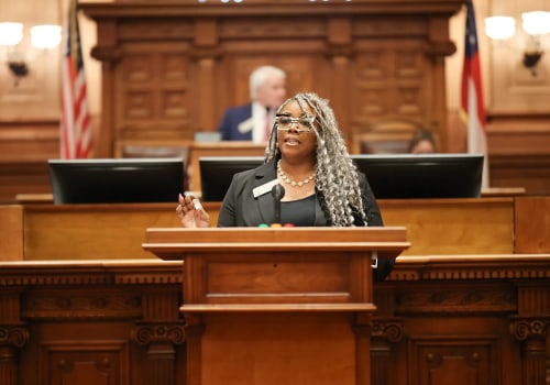 The Process of Voicing Opinions on Public Affairs in Fayetteville, GA